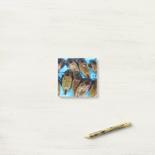 Fried Giant Water Bug (Maeng Daa) ...アジア料理 ポストイット (デスク上)