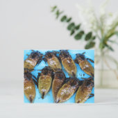 Fried Giant Water Bug (Maeng Daa) ...アジア料理 ポストカード (スタンド正面)