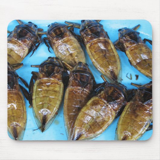 Fried Giant Water Bug (Maeng Daa) ...アジア料理 マウスパッド (正面)