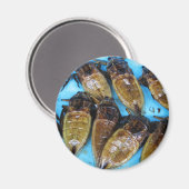 Fried Giant Water Bug (Maeng Daa) ...アジア料理 マグネット (正面/裏面)