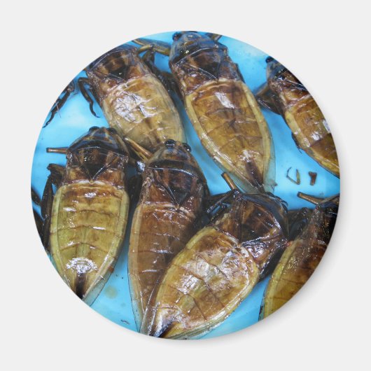 Fried Giant Water Bug (Maeng Daa) ...アジア料理 マグネット (正面)