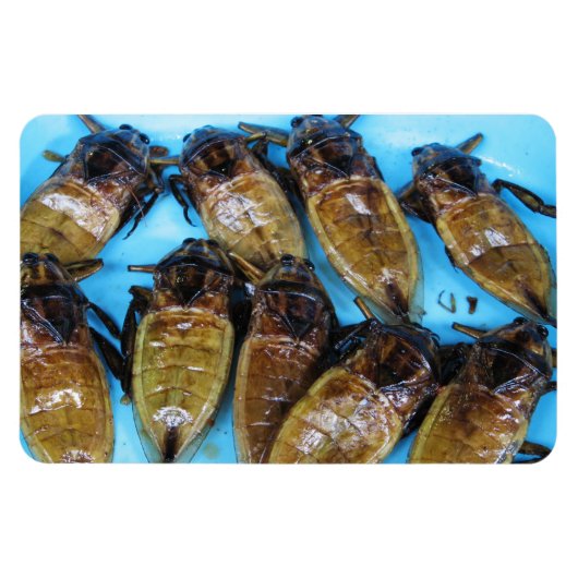 Fried Giant Water Bug (Maeng Daa) ...アジア料理 マグネット (横)