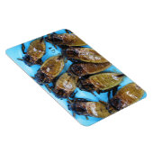 Fried Giant Water Bug (Maeng Daa) ...アジア料理 マグネット (右側)