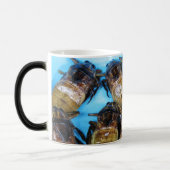 Fried Giant Water Bug (Maeng Daa) ...アジア料理 モーフィングマグカップ (左)