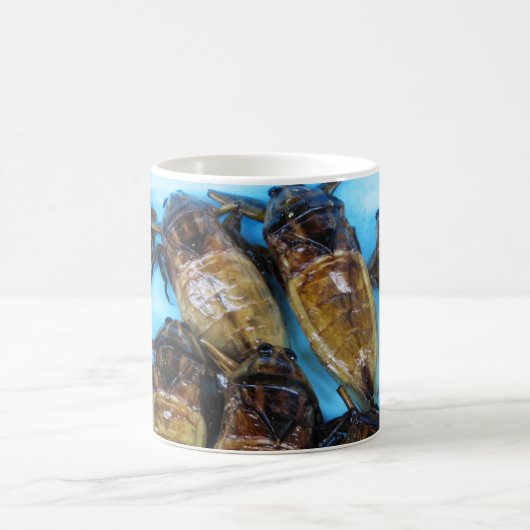 Fried Giant Water Bug (Maeng Daa) ...アジア料理 モーフィングマグカップ (中央)