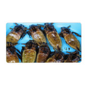 Fried Giant Water Bug (Maeng Daa) ...アジア料理 ラベル (正面)
