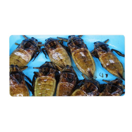 Fried Giant Water Bug (Maeng Daa) ...アジア料理 ラベル (正面)