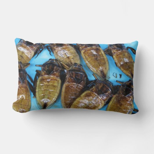 Fried Giant Water Bug (Maeng Daa) ...アジア料理 ランバークッション (正面)