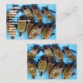 Fried Giant Water Bug (Maeng Daa) ...アジア料理 名刺 (正面/裏面)
