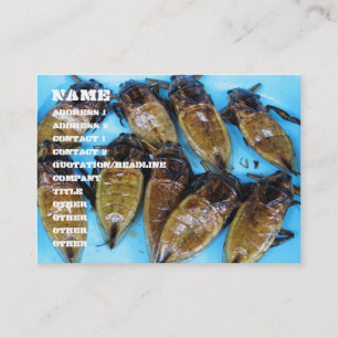 Fried Giant Water Bug (Maeng Daa)。..アジア料理 名刺