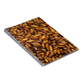 Fried Silk Worms ... Thai Street Food ノートブック (右側)