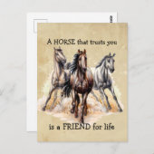 FRIENDを信頼するHORSE for life引用文 ポストカード (正面/裏面)