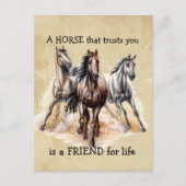 FRIENDを信頼するHORSE for life引用文 ポストカード (正面)