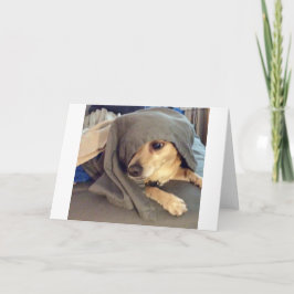 FRIEND最高のは、動物の避難所からの挨拶である カード