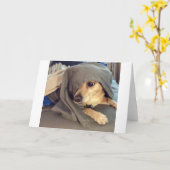 FRIEND最高のは、動物の避難所からの挨拶である カード (黄色い花)