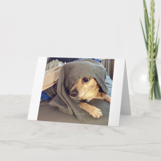 FRIEND最高のは、動物の避難所からの挨拶である カード (正面)