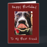 **FRIEND**誕生日がWISHSカードを使用 カード<br><div class="desc">おもしろいを送与えるか、このカードを持っていれば、「あなた」から受け取るのが好きになる。私はこのカードの列が大好きで、8店舗のうち1ストップ店に来てくれてありがとう。</div>