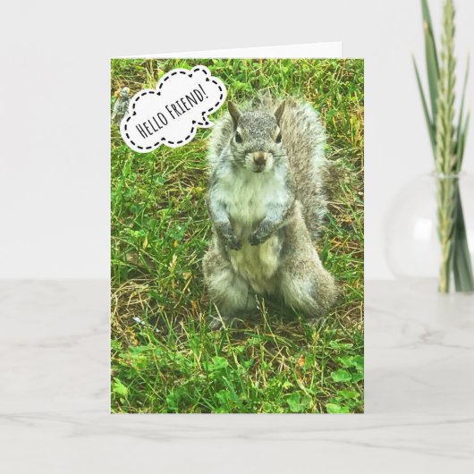 Friendly Squirrel Greeting Card サンキューカード (正面)
