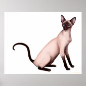 Friendly Young Siamese Cat Poster ポスター (正面)