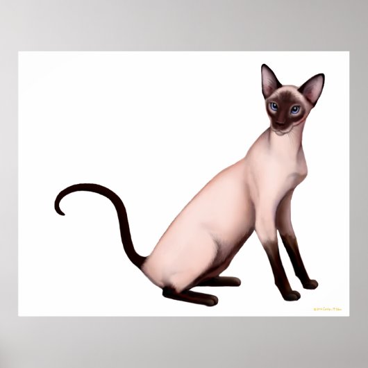 Friendly Young Siamese Cat Poster ポスター (正面)