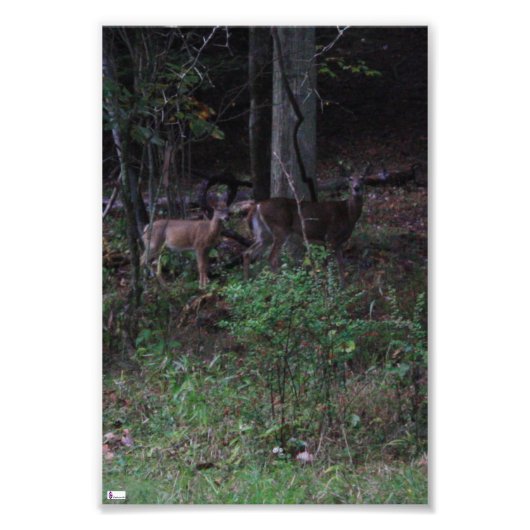 Friendsフォトプリント フォトプリント (正面)