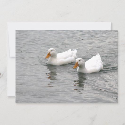 Friends ノートカード (正面)