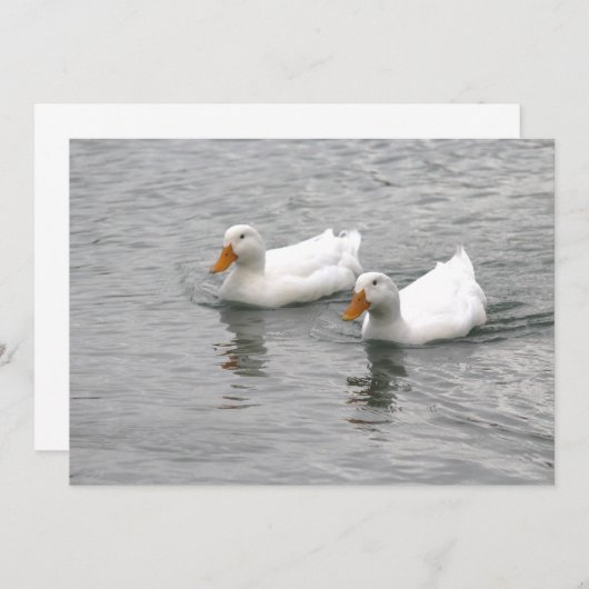 Friends ノートカード (正面/裏面)