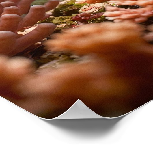 Friends ポスター (角)