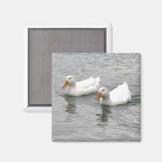 Friends マグネット (正面/裏面)