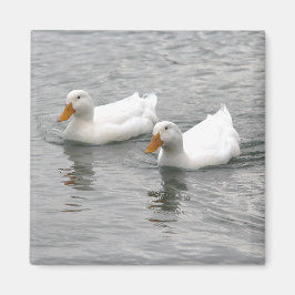 Friends マグネット