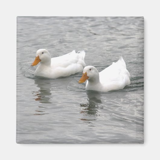 Friends マグネット (正面)