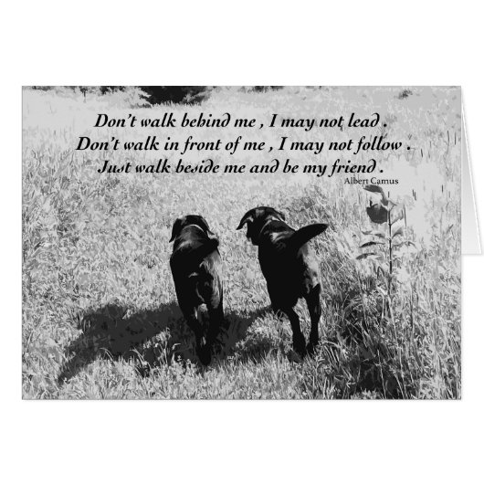 Friends - Black Lab (正面横)