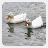 Friends For Life スクエアシール (正面)