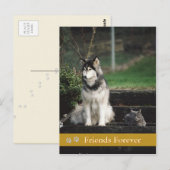 Friends Forever – 犬と猫のはがき ポストカード (正面/裏面)