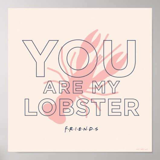 FRIENDS™ | You are My Lobster ポスター (正面)