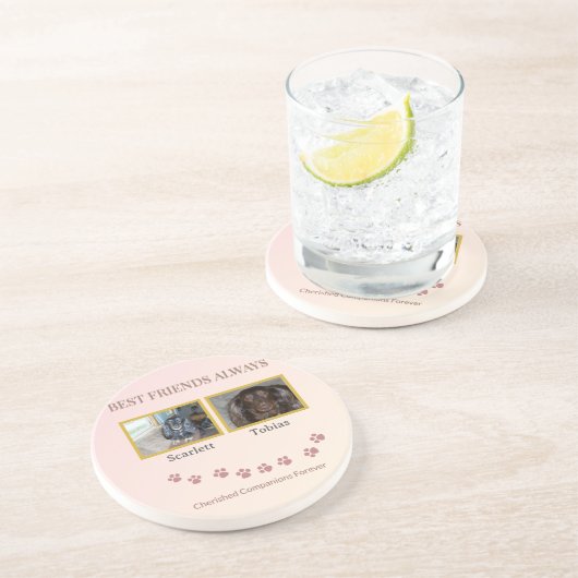 Friendship Trail Tribute コースター (側面)