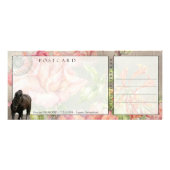 Friesianのダイヤモンド-棚/郵便はがき ラックカード (裏面)