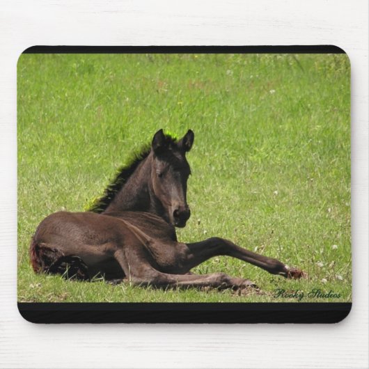 Friesianの子馬のmousepad マウスパッド (正面)