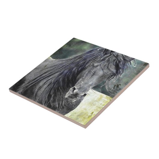 Friesianの種馬 タイル (側面)