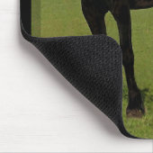 Friesianの馬のマウスパッド#9 マウスパッド (コーナー)