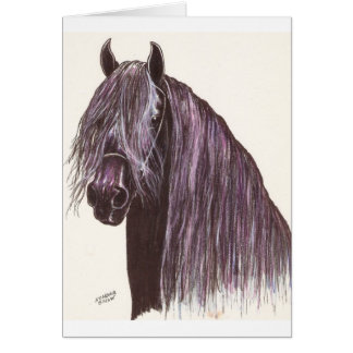Friesianの馬の勉強