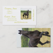 Friesianの馬の名刺 名刺 (正面/裏面)