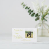 Friesianの馬の名刺 名刺 (スタンド正面)