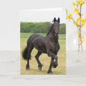 Friesianの馬の挨拶状 カード (黄色い花)