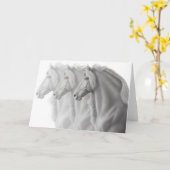 Friesianの馬の挨拶状 カード (黄色い花)