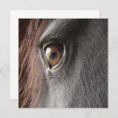 Friesianの馬の目の招待状 招待状 (正面/裏面)