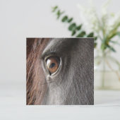 Friesianの馬の目の招待状 招待状 (スタンド正面)