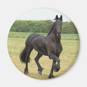 Friesianの馬の磁石 マグネット