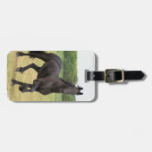 Friesianの馬の荷物のラベル ラゲッジタグ (正面横)