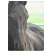 Friesianの馬 クリップボード (裏面)